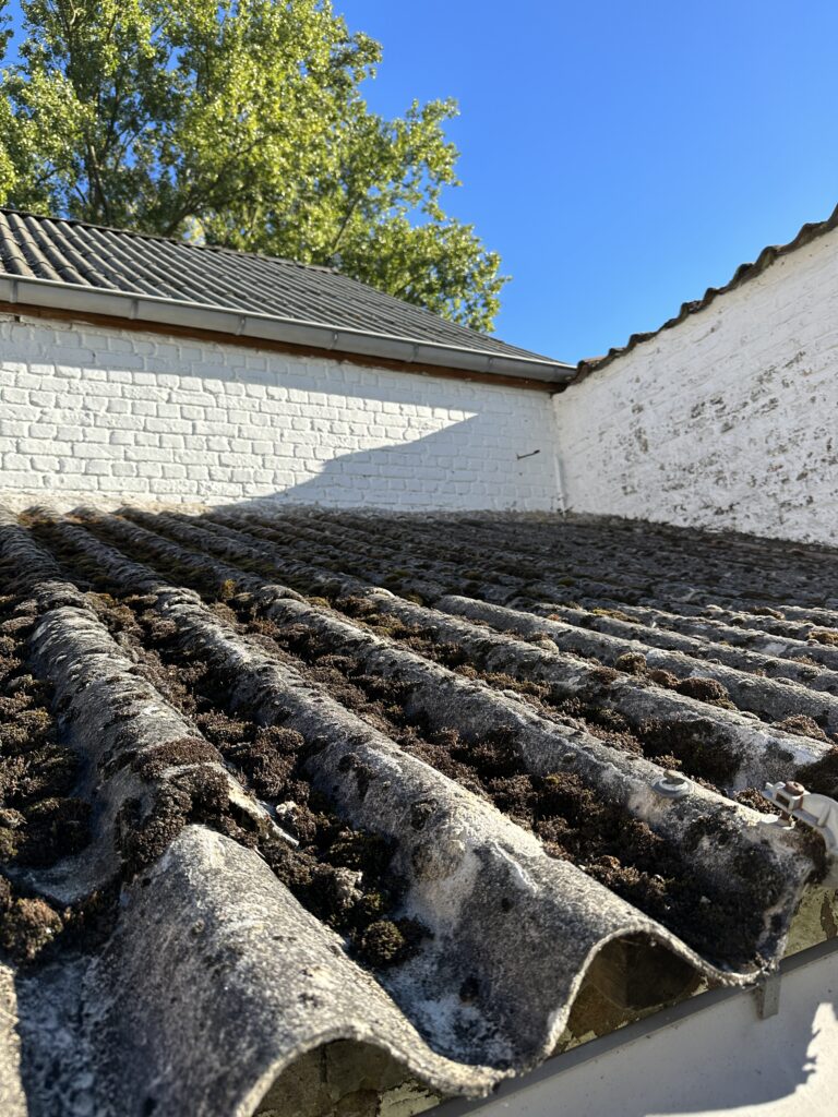 Asbestcement golfplaten met mosaanslag op een dak