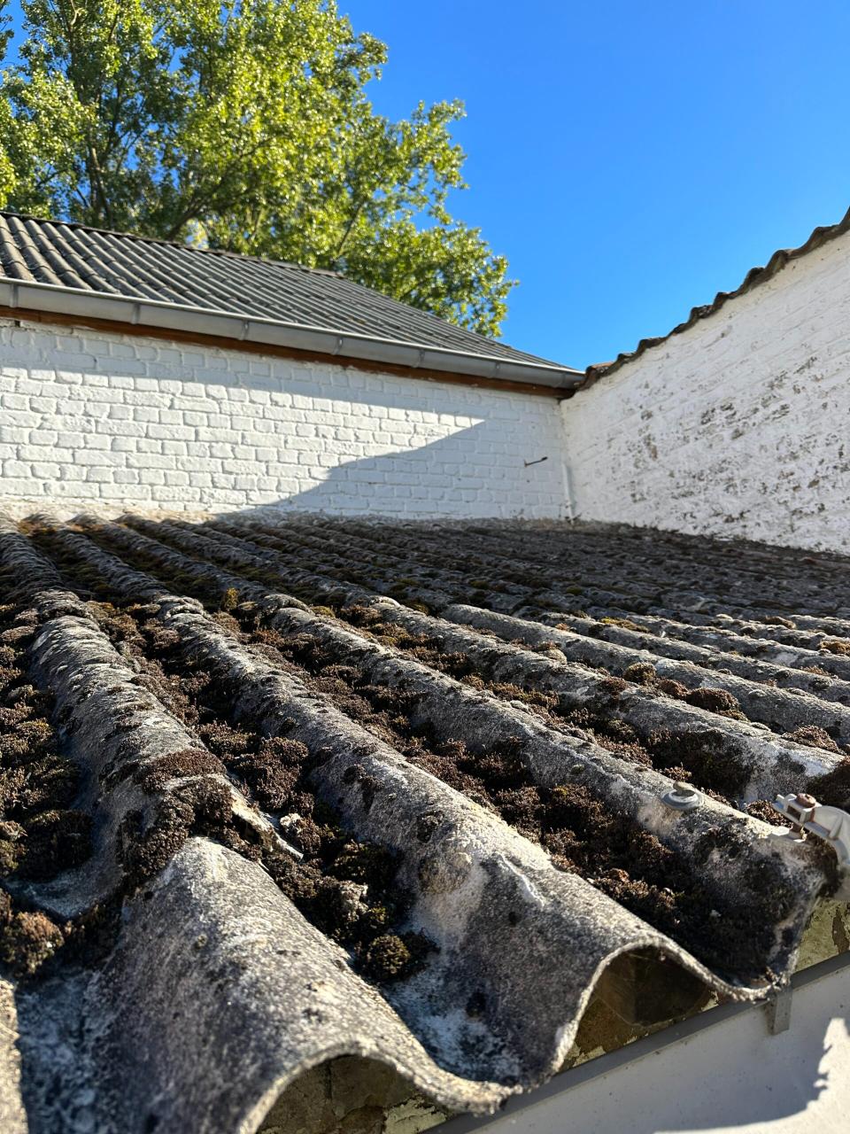Vergrijsde asbestcement golfplaten met mosgroei op een bijgebouw